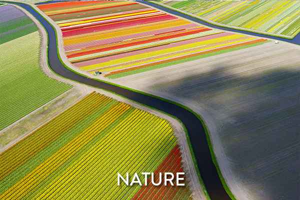 Dronestagram naturaleza