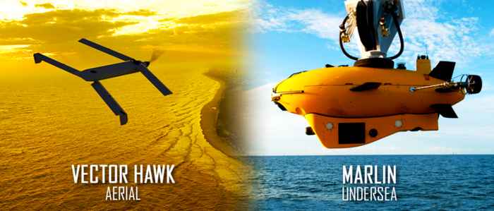 Vector Hawk y Marlin MK2