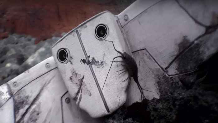 Donny the Drone Donny the Drone