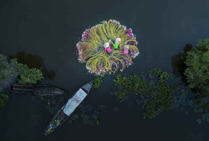 mujeres lavando nenúfares mujeres lavando nenúfares