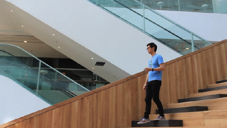 el drone Hover Camera te sigue