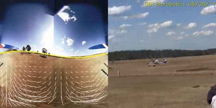 biorobótica biorobótica