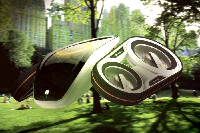 drone Linnaeus drone Linnaeus