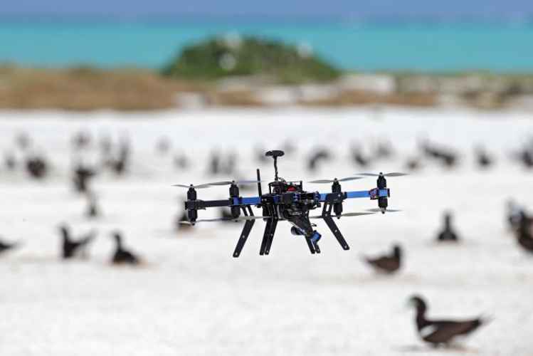 drone cuenta aves