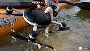 Lily es resistente al agua