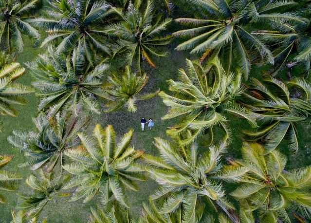 pareja entre palmeras