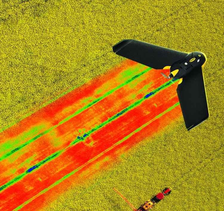 Parrot sensor Sequoia