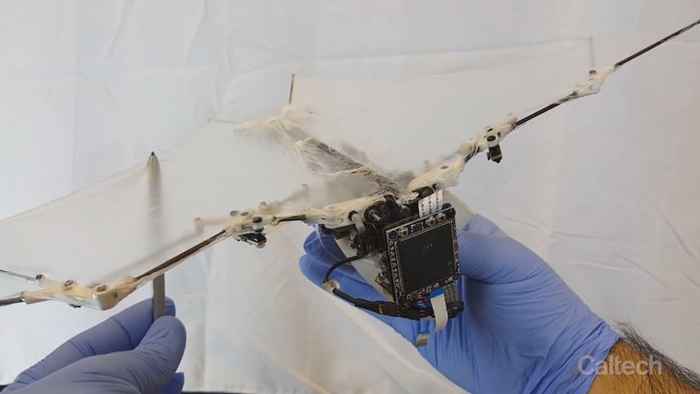 robot murciélago robot murciélago