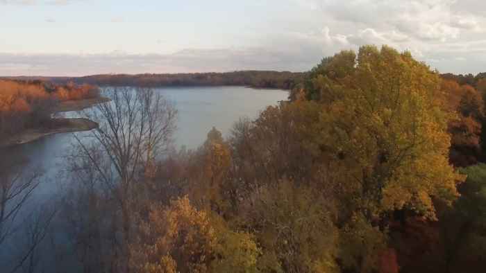 timelapse de un bosque